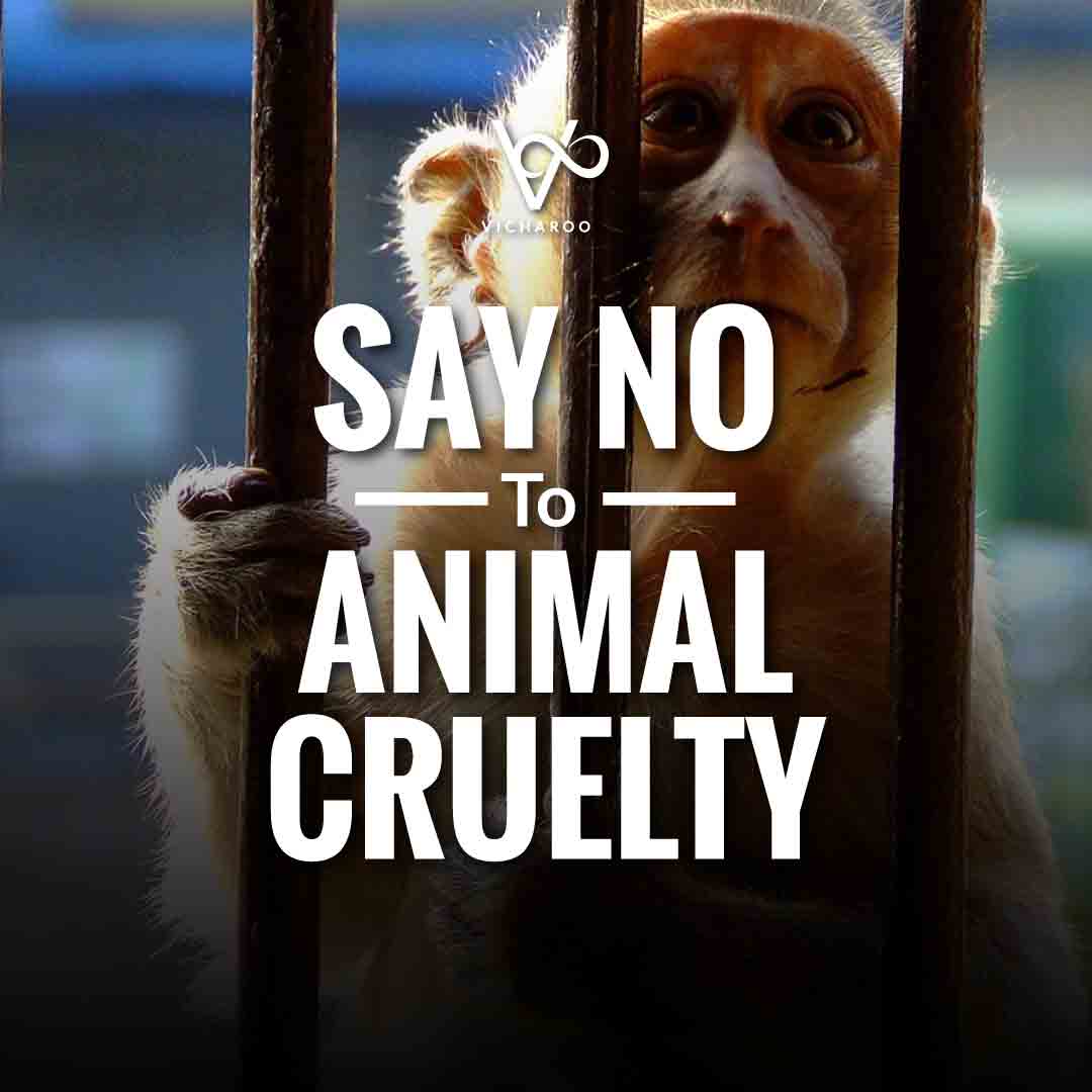 Say NO To Animal Cruelty | World Animal Day | International Animal ...