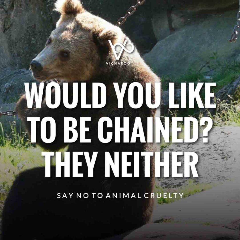 Would you like to be chained? They neither | World Animal Day | International Animal Rights Day Slogans & Quotes