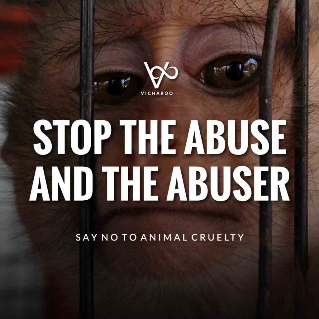 Stop the abuse and the abuser | World Animal Day | International Animal Rights Day Slogans & Quotes