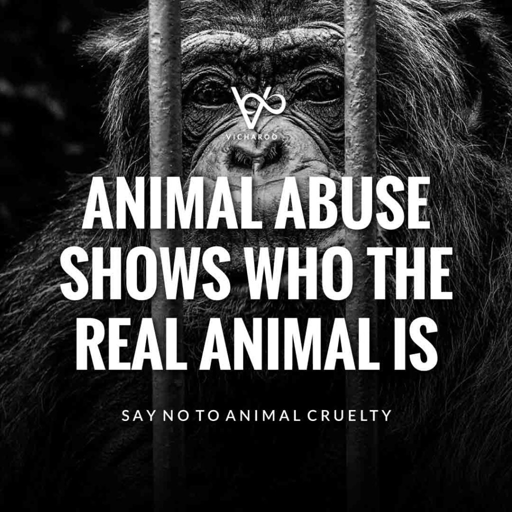 Animal abuse shows who the real animal is | World Animal Day | International Animal Rights Day Slogans & Quotes
