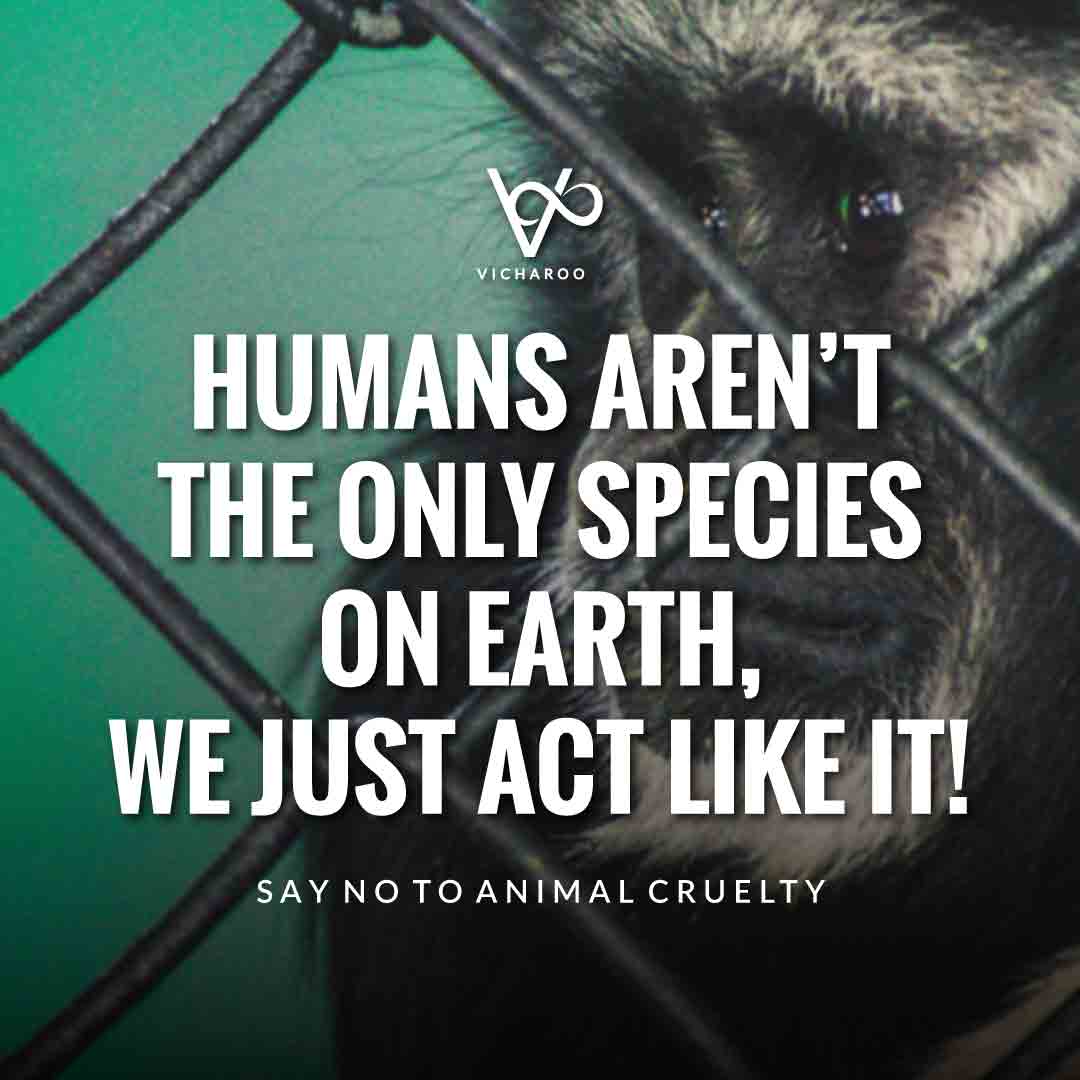 Humans aren’t the only species on Earth, We just act like it! | World Animal Day | International Animal Rights Day Slogans & Quotes