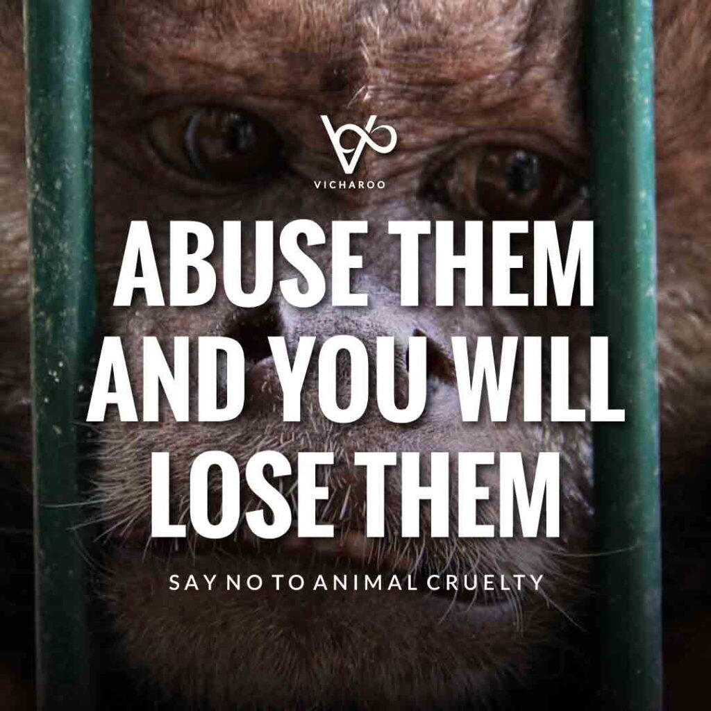 Abuse them and you will lose them | World Animal Day | International Animal Rights Day Slogans & Quotes