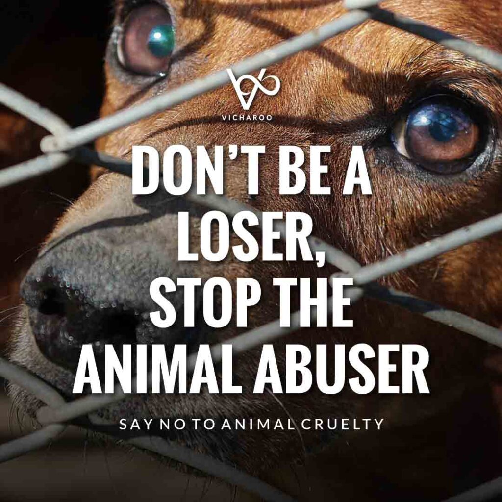 Don’t be a loser, stop the animal abuser | World Animal Day | International Animal Rights Day Slogans & Quotes