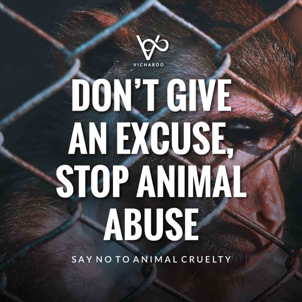 Don’t give an excuse, stop animal abuse | World Animal Day | International Animal Rights Day Slogans & Quotes