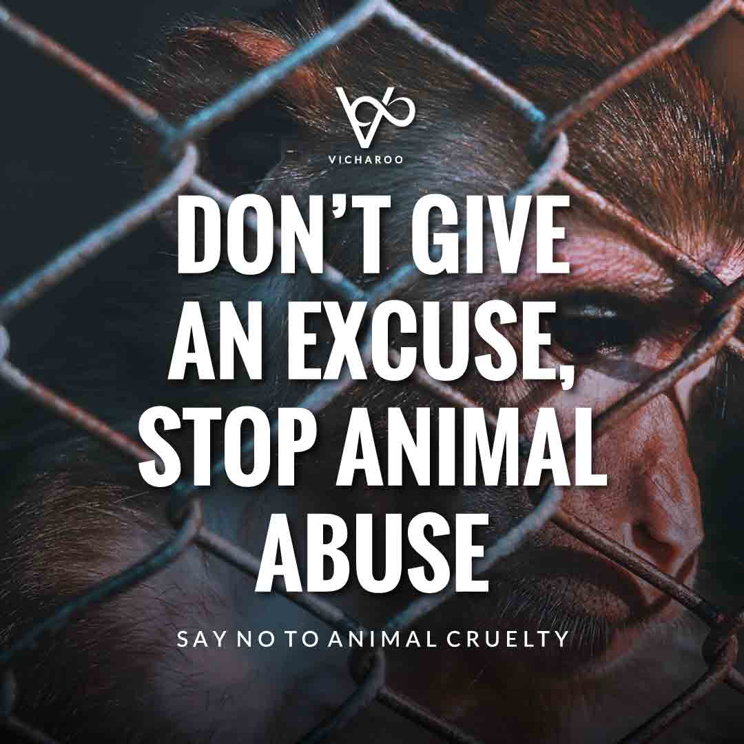 Don’t give an excuse, stop animal abuse | World Animal Day | International Animal Rights Day Slogans & Quotes