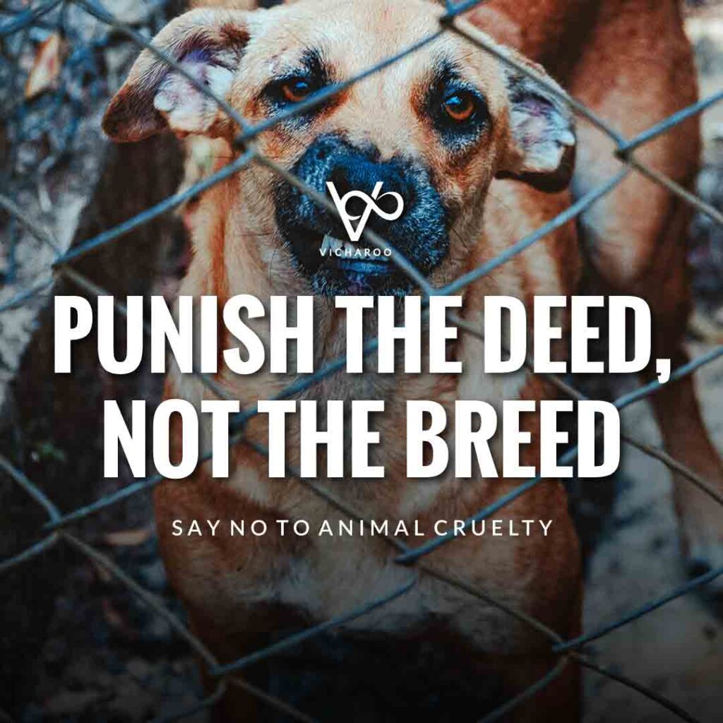 Punish the deed, not the breed | World Animal Day | International Animal Rights Day Slogans & Quotes
