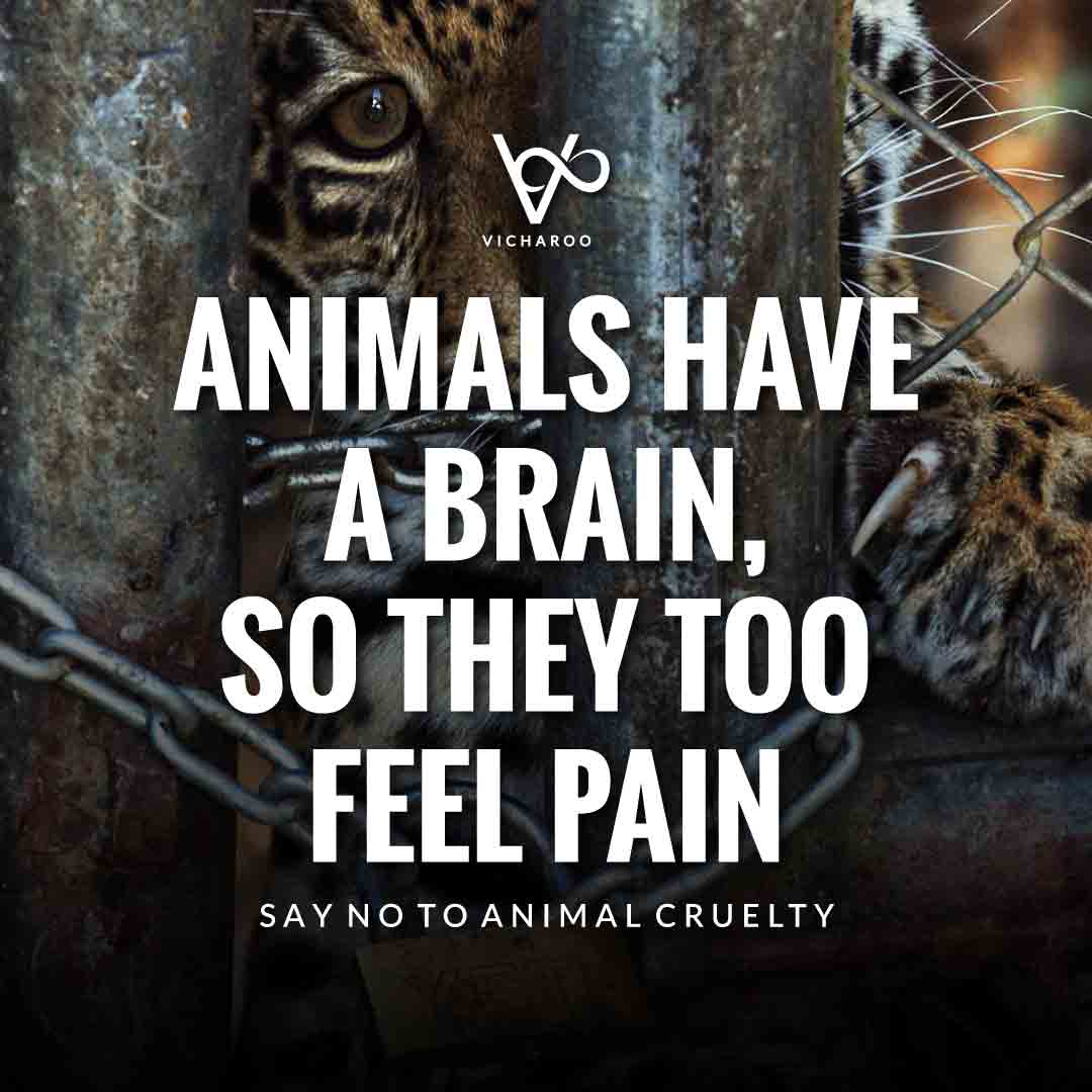 Animals have a brain, so they too feel pain | World Animal Day | International Animal Rights Day Slogans & Quotes