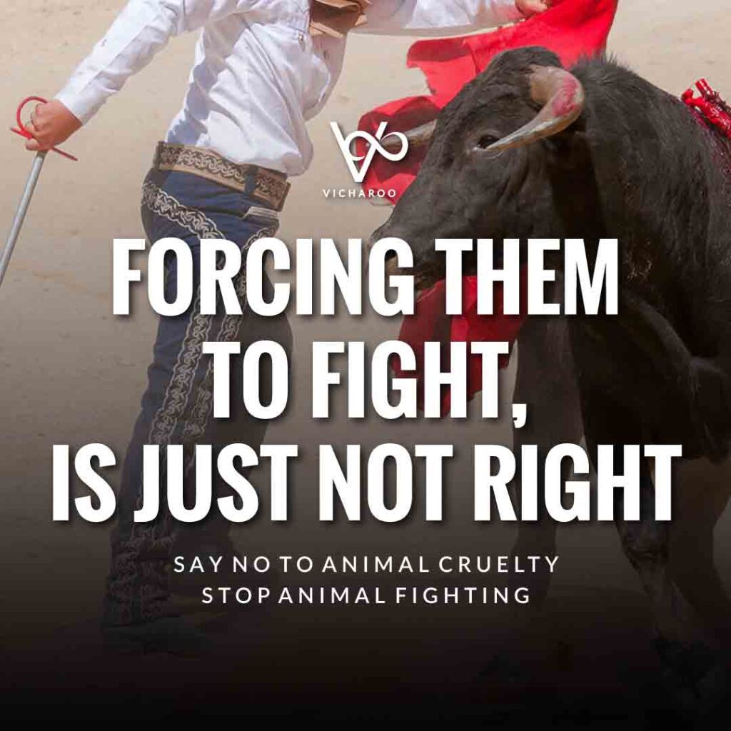 Forcing them to fight, is just not right | World Animal Day | International Animal Rights Day Slogans & Quotes
