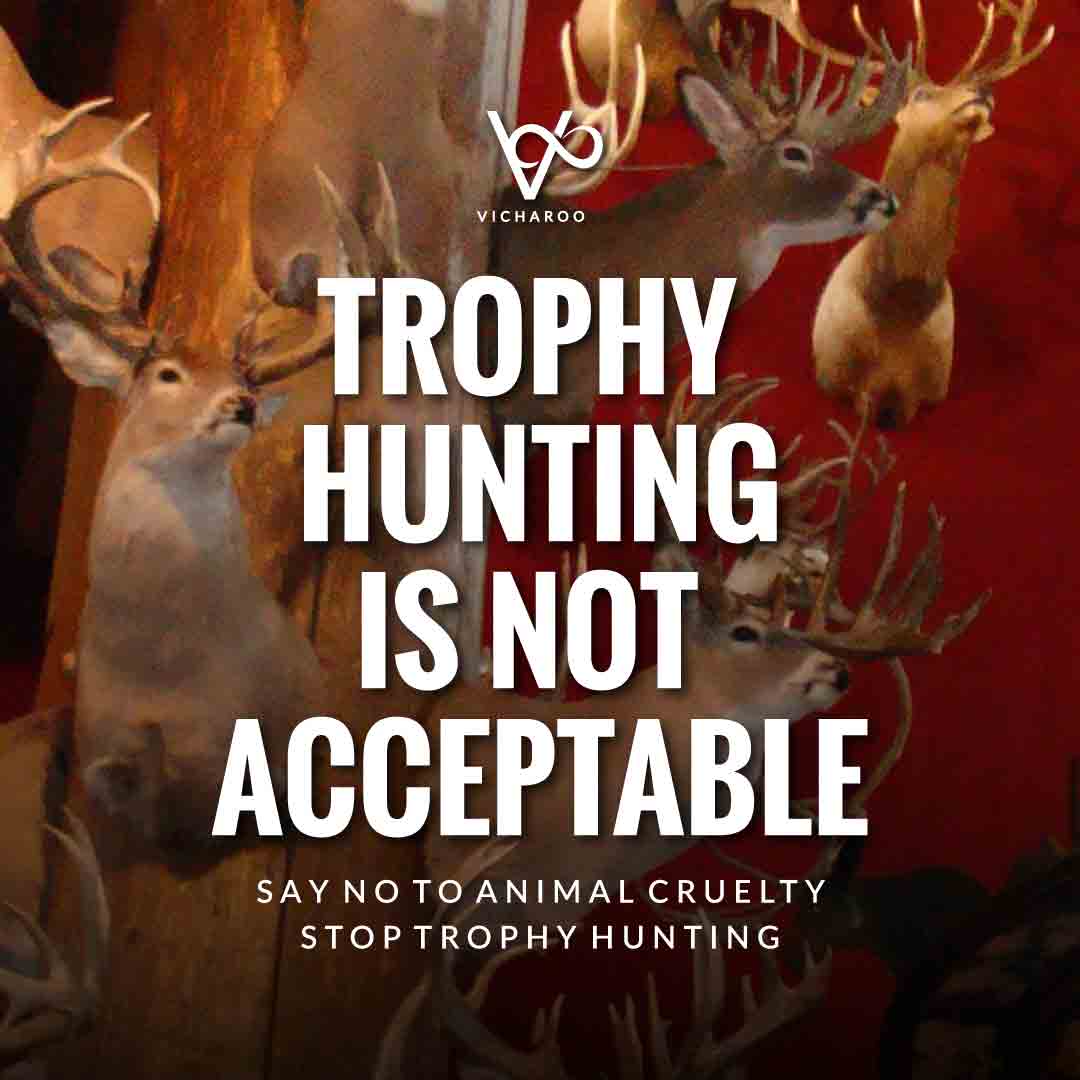 Trophy Hunting is not acceptable | World Animal Day | International Animal Rights Day Slogans & Quotes