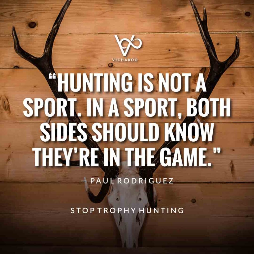 Hunting is not a sport. In a sport, both sides should know they’re in the game. ― Paul Rodriguez | World Animal Day | International Animal Rights Day Slogans & Quotes