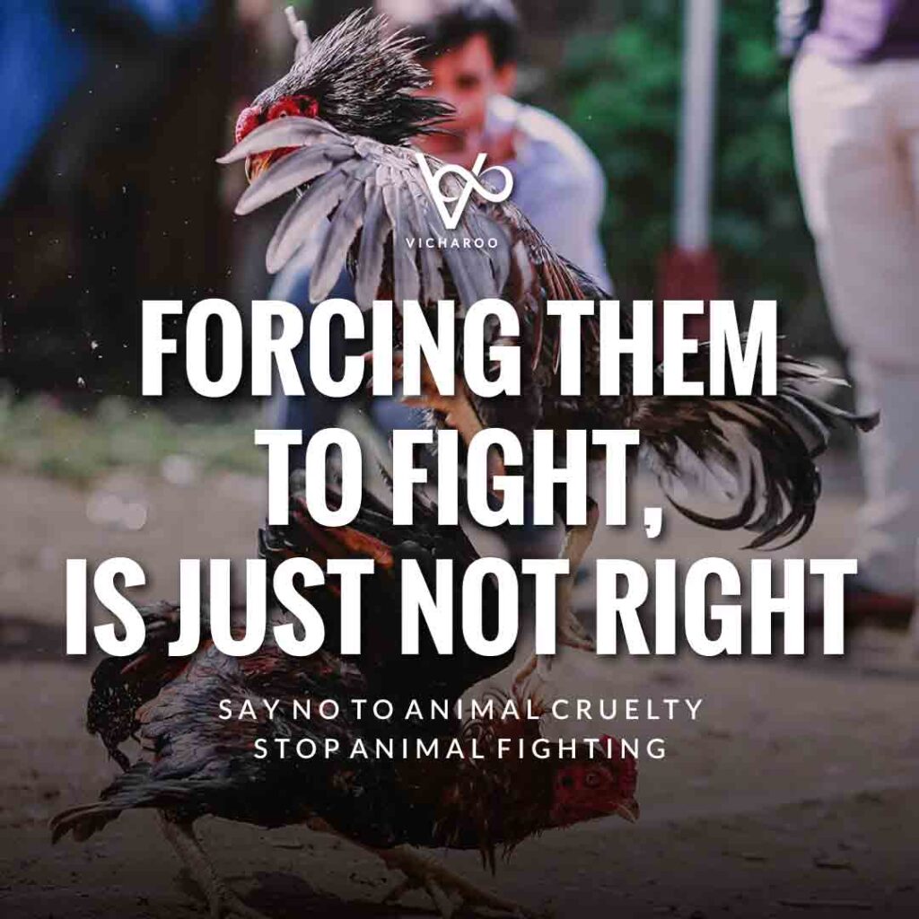 Forcing them to fight, is just not right | World Animal Day | International Animal Rights Day Slogans & Quotes