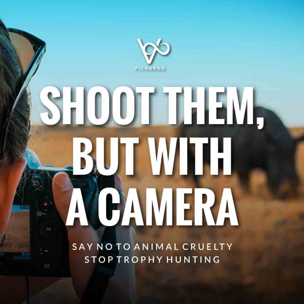 Shoot them, but with a camera | Poaching | World Animal Day | International Animal Rights Day Slogans & Quotes