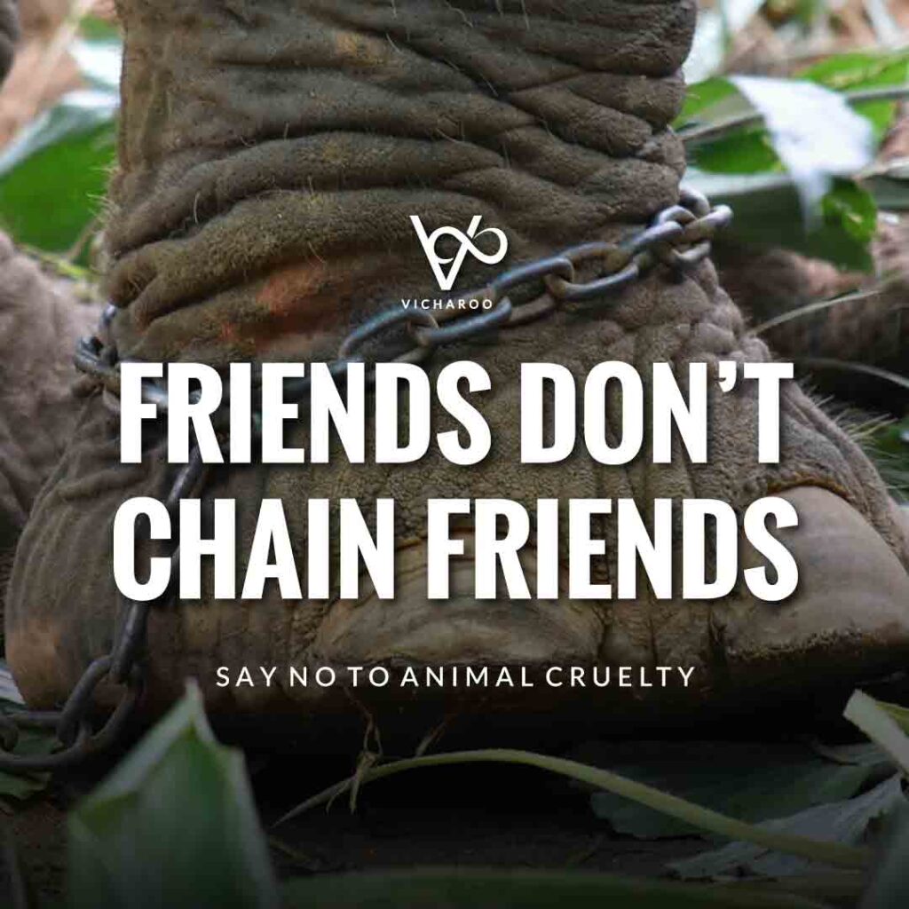 Friends don’t chain friends | World Animal Day | International Animal Rights Day Slogans & Quotes