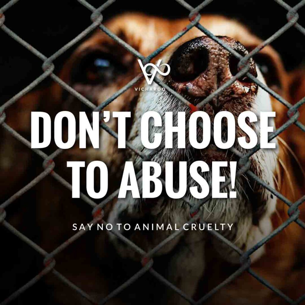Don’t choose to abuse! | World Animal Day | International Animal Rights Day Slogans & Quotes