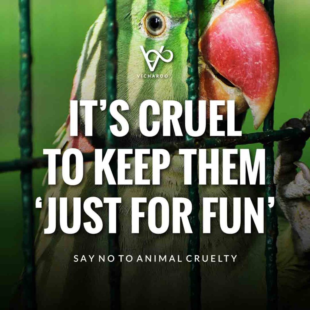 It’s cruel to keep them ‘just for fun’ | World Animal Day | International Animal Rights Day Slogans & Quotes