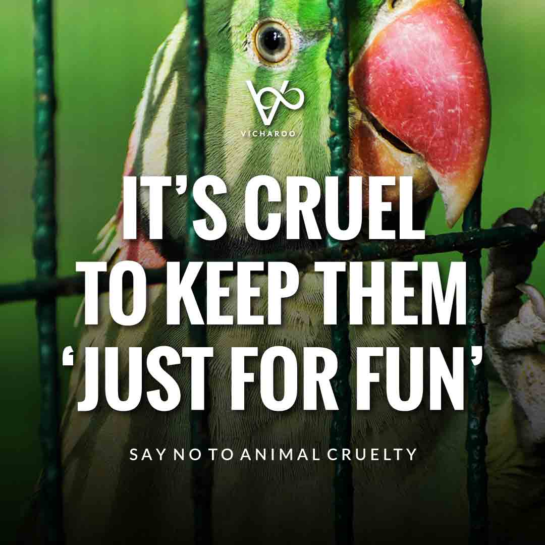 it-s-cruel-to-keep-them-just-for-fun-world-animal-day