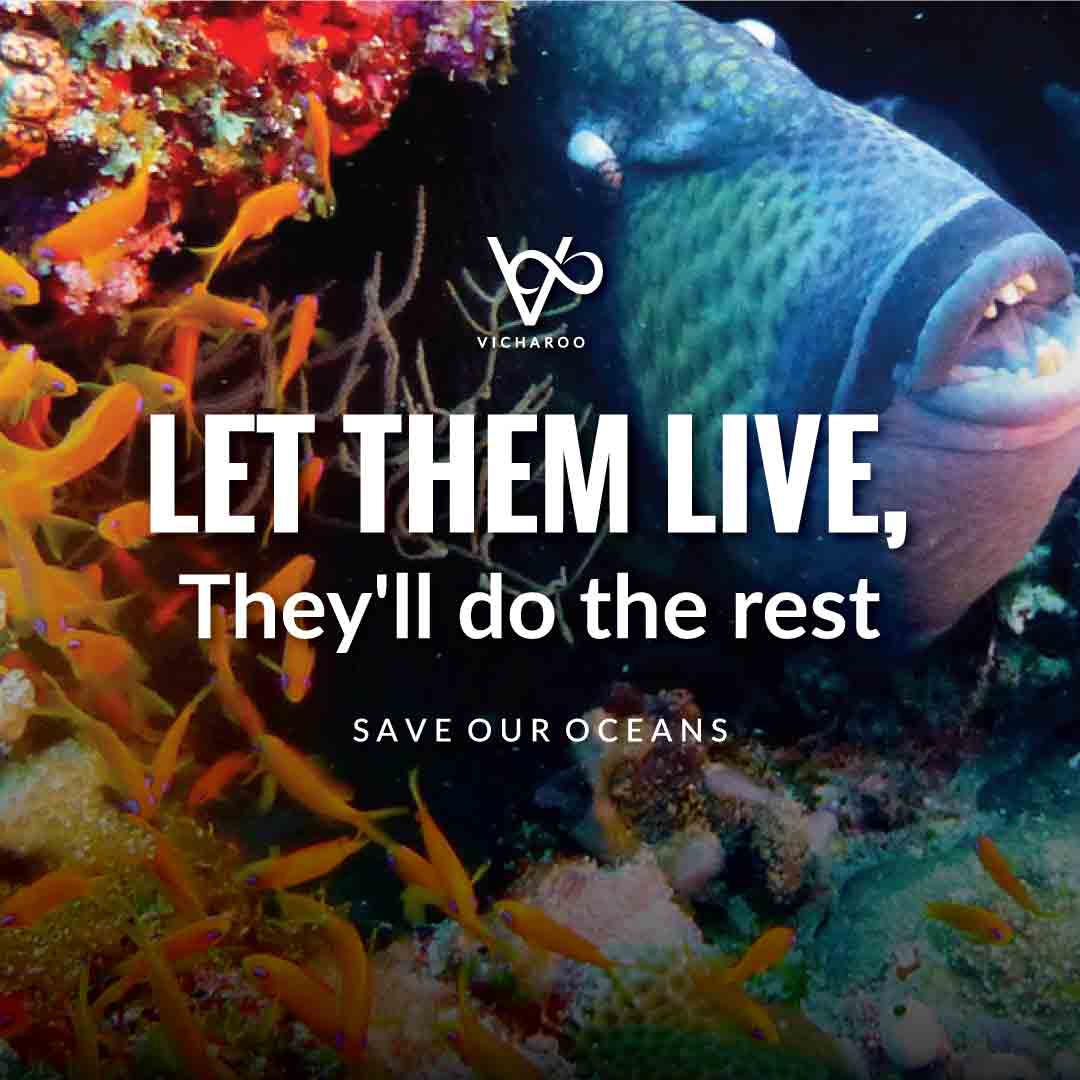 Let them live, they will do the rest | World Oceans Day | Save Ocean Slogans & Quotes | Vicharoo