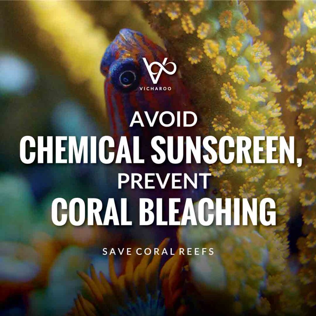 Avoid chemical sunscreen, prevent coral bleaching | World Oceans Day | Save Ocean Slogans & Quotes | Vicharoo