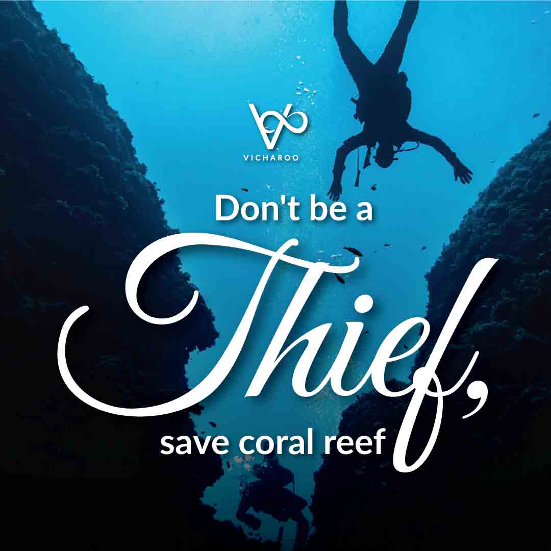 Don't be a thief, save coral reef | World Oceans Day | Save Ocean Slogans & Quotes | Vicharoo