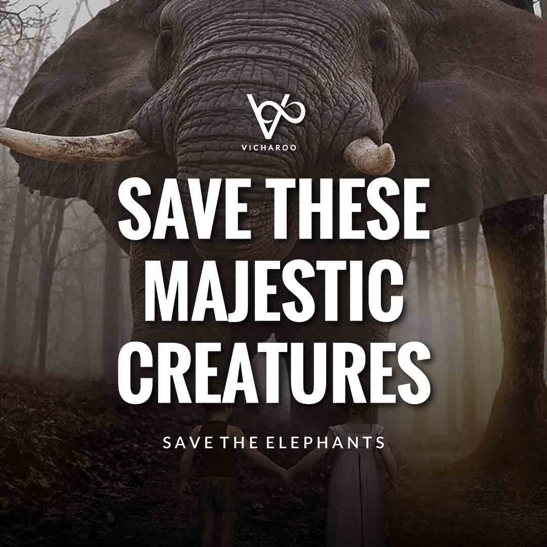 Save these majestic creatures | Save Elephants Slogans and Quotes | World Elephant Day