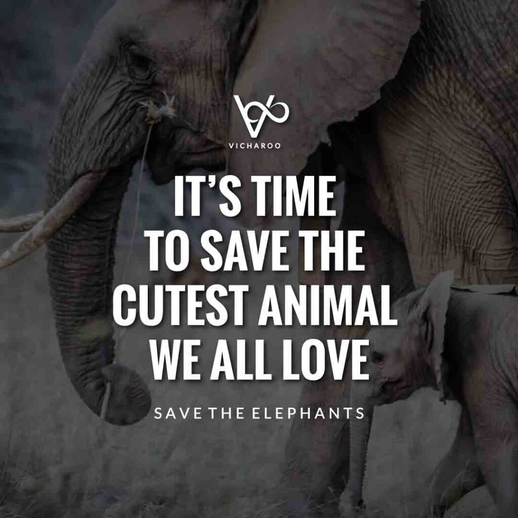 It's time to save the cutest animal we all love | Save Elephants Slogans and Quotes | World Elephant Day
