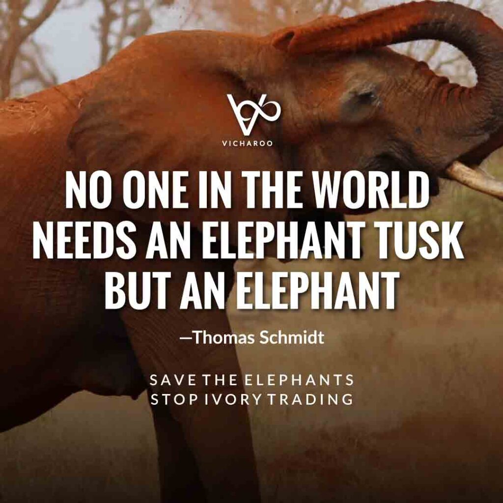No one in the world needs an elephant tusk but an elephant - Thomas-Schmidt | Save Elephants Slogans and Quotes | World Elephant Day