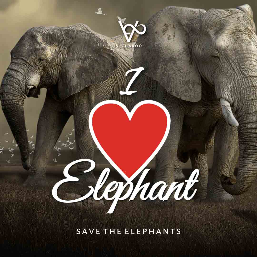 I love elephant | Save Elephants Slogans and Quotes | World Elephant Day