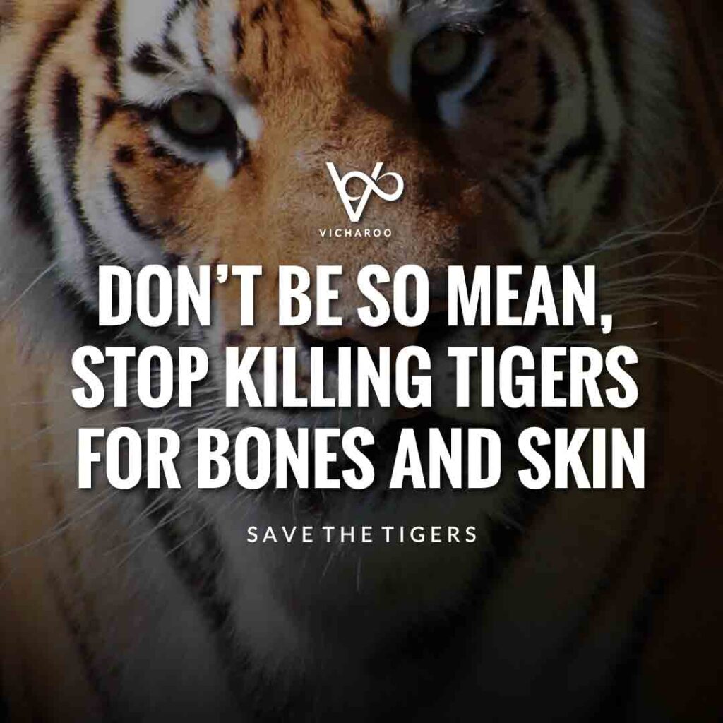 Don't be so mean, stop killing tigers for bones and skin | Save Tigers Slogans and Quotes | International Tiger Day
