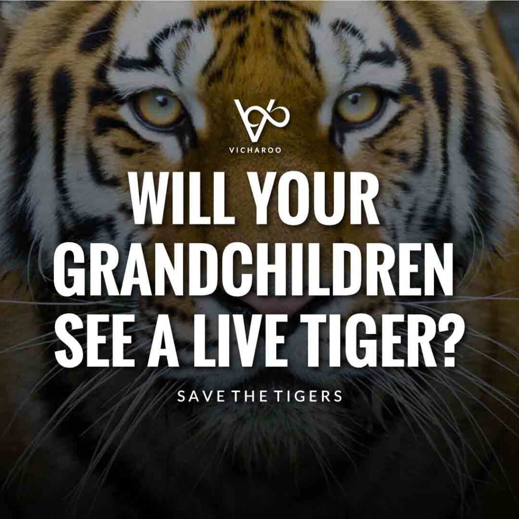 Will your grandchildren see a live tiger? | Save Tigers Slogans and Quotes | International Tiger Day