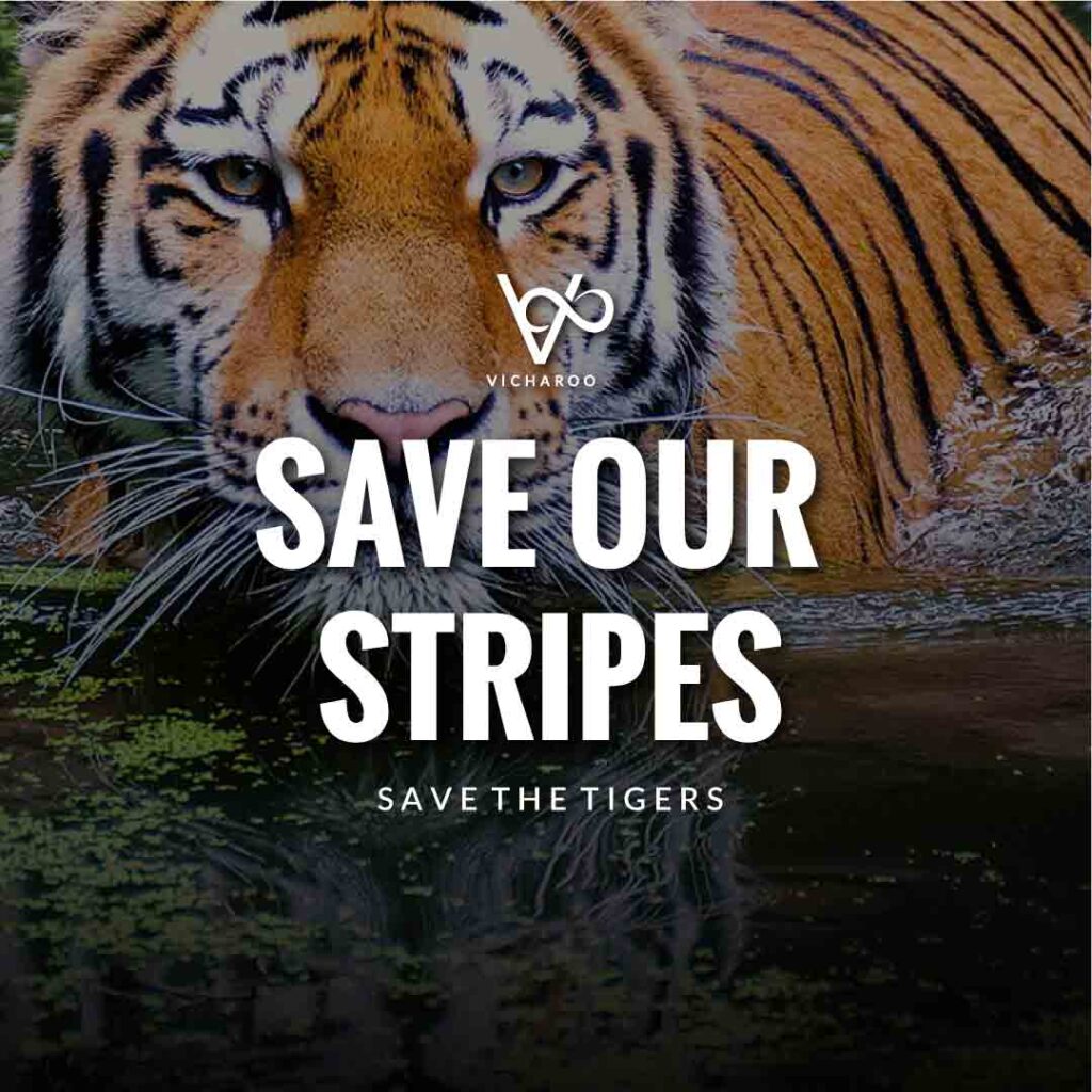 Save our stripes | Save Tigers Slogans and Quotes | International Tiger Day