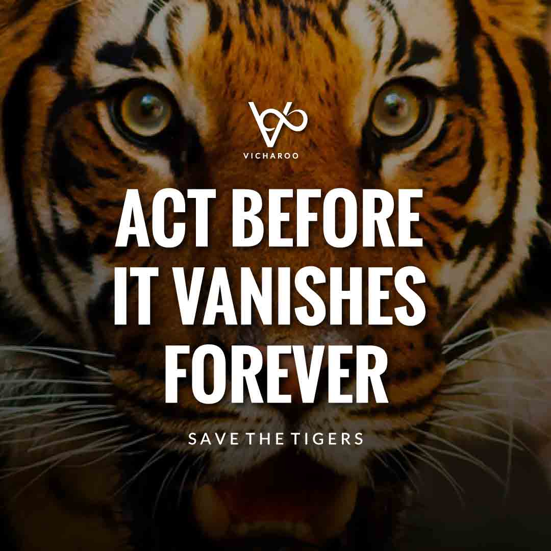 Act before it vanishes forever | Save Tigers Slogans and Quotes | International Tiger Day