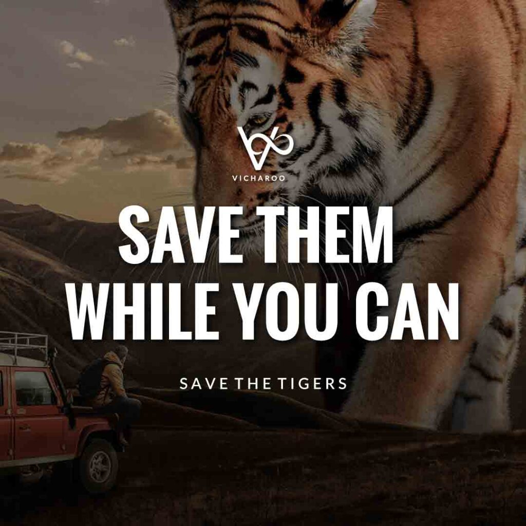 Save them while you can | Save Tigers Slogans and Quotes | International Tiger Day