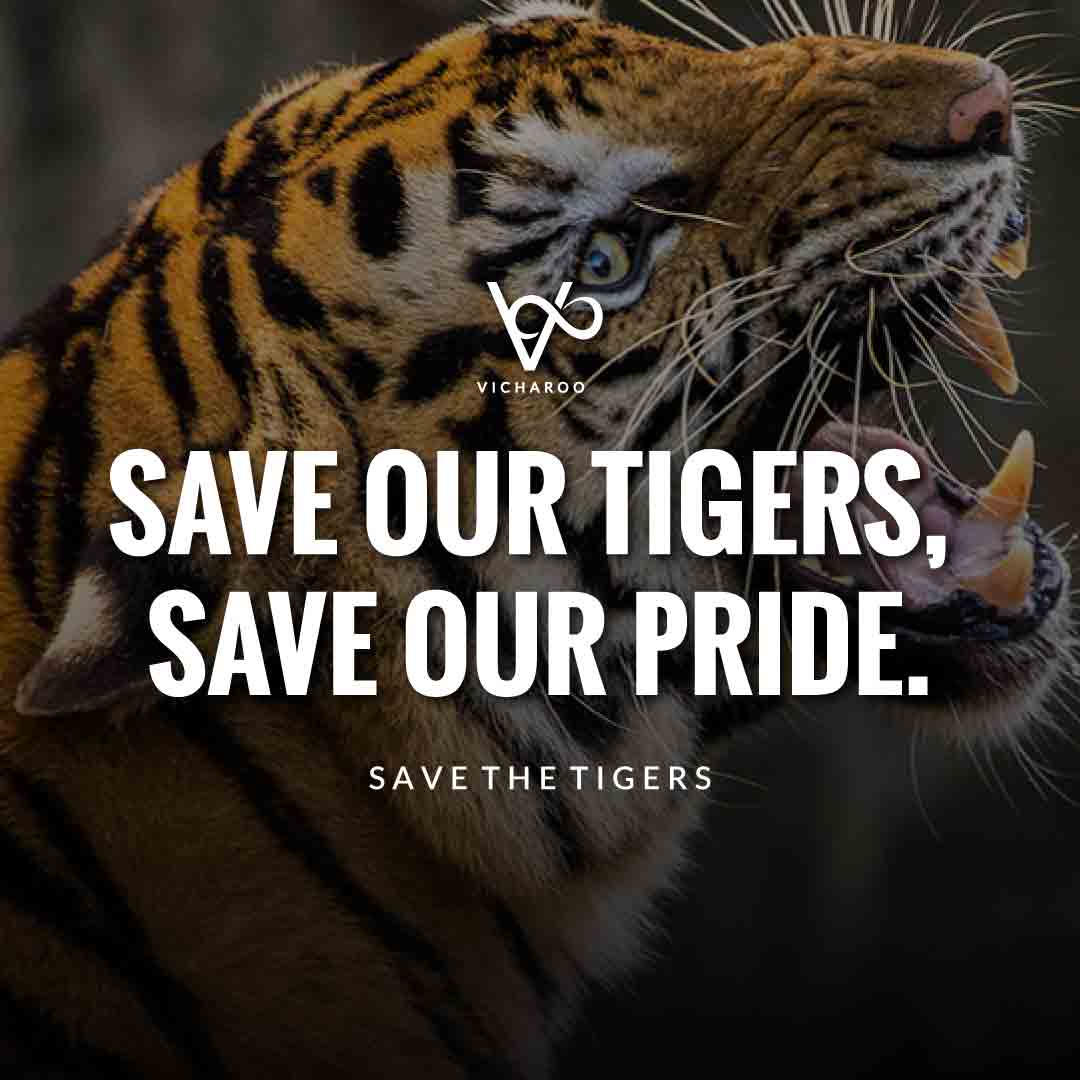 Save our tigers, Save our pride | Save Tigers Slogans and Quotes | International Tiger Day