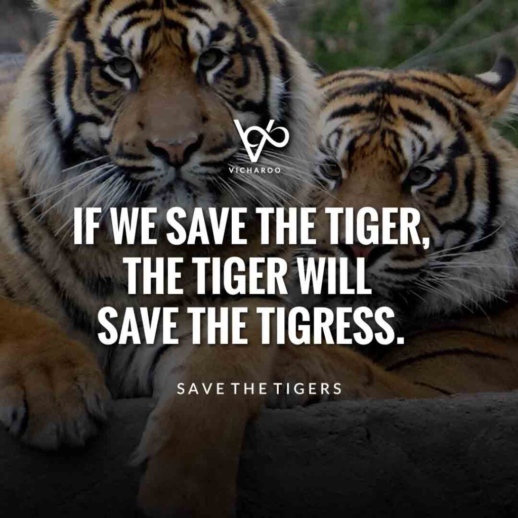 If we save the tiger, the tiger will save the tigress | Save Tigers Slogans and Quotes | International Tiger Day