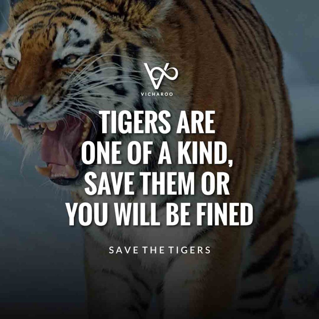 Tigers are one of a kind, save them or you will be fined | Save Tigers Slogans and Quotes | International Tiger Day