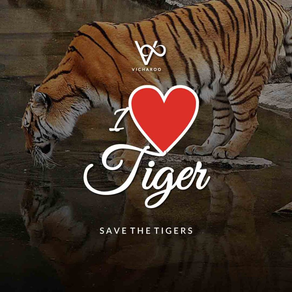 I love tiger | Save Tigers Slogans and Quotes | International Tiger Day
