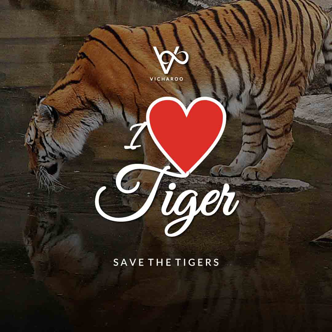 I Love Tiger | Save Tigers Slogans And Quotes | International Tiger Day ...