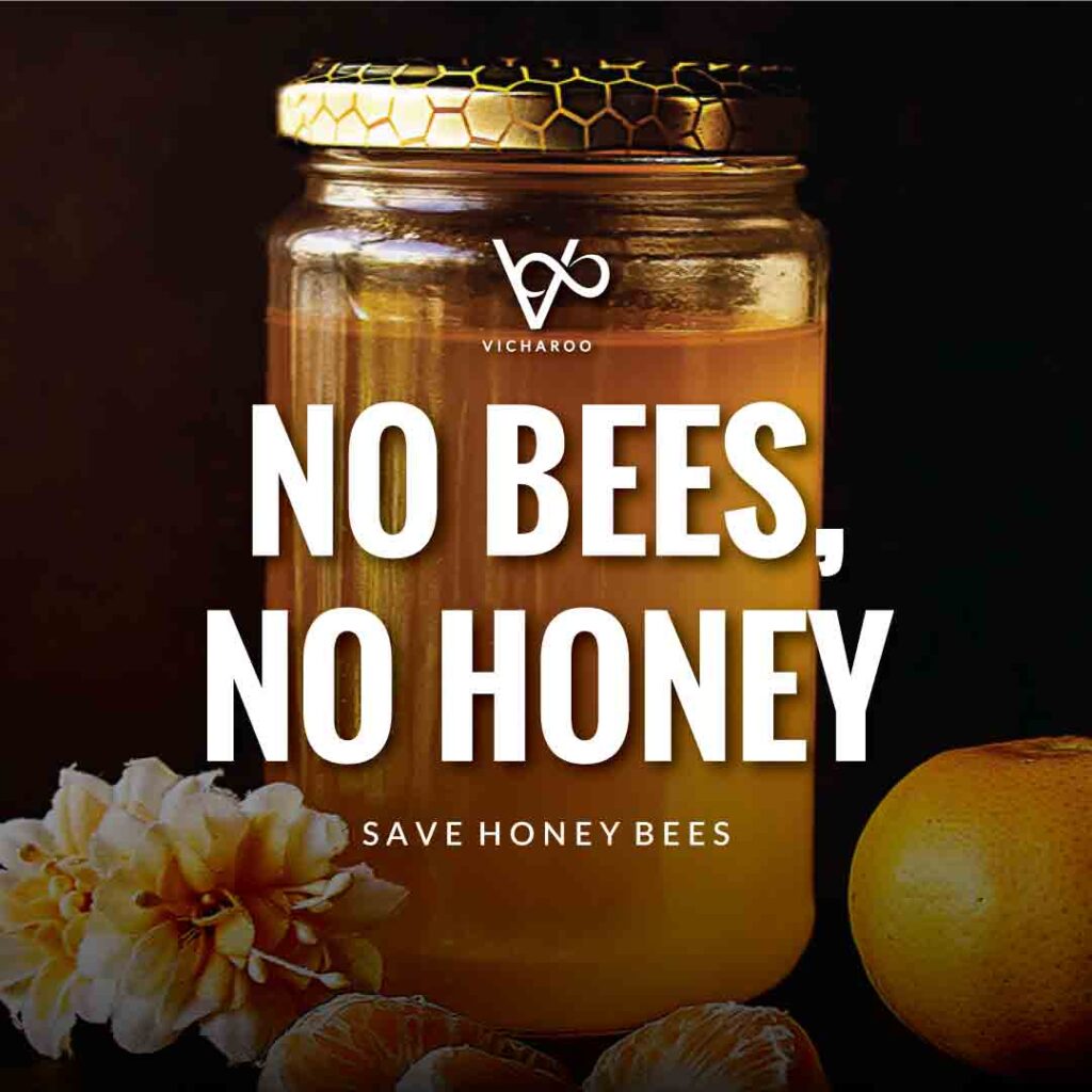 No bees, no honey | Save Honey Bees | World Honey Bee Day