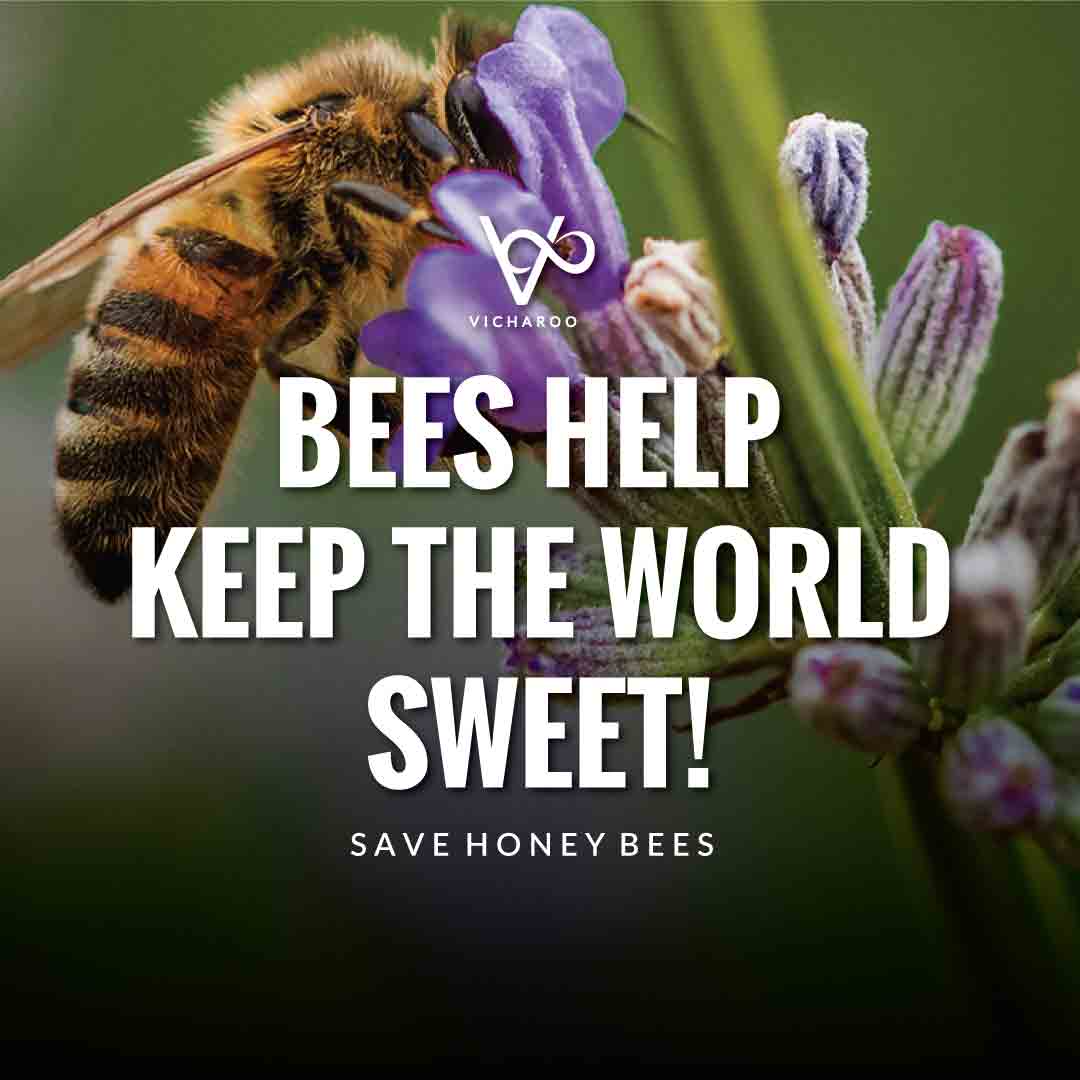 Bees help keep the world sweet | Save Honey Bees Save Honey Bees Slogans and Quotes | World Honey Bee Day