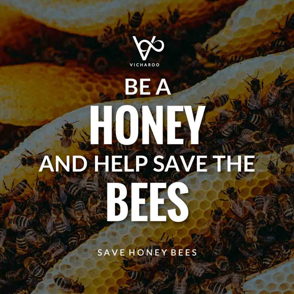 Be a honey and help save the bees | Save Honey Bees | World Honey Bee Day