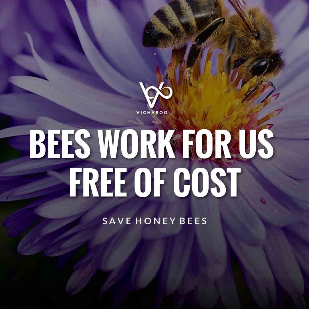 Bees work for us free of cost | Save Honey Bees Save Honey Bees Slogans and Quotes | World Honey Bee Day
