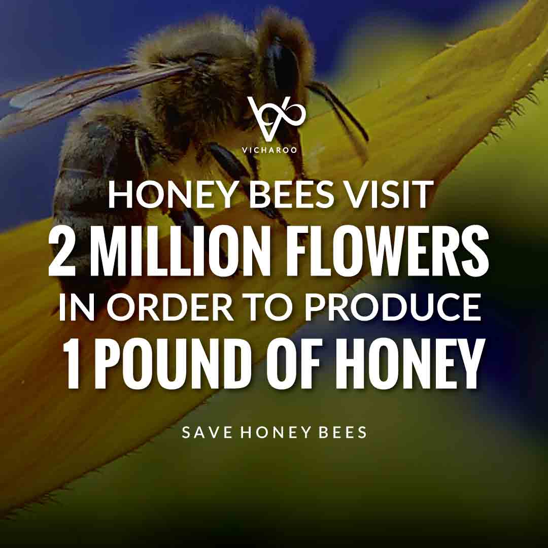 Honey bees visit 2 million flowers in order to produce 1 pound of honey | Save Honey Bees Save Honey Bees Slogans and Quotes | World Honey Bee Day