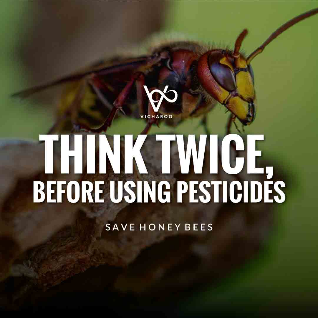 Think twice before using pesticides | Save Honey Bees Slogans and Quotes | World Honey Bee Day