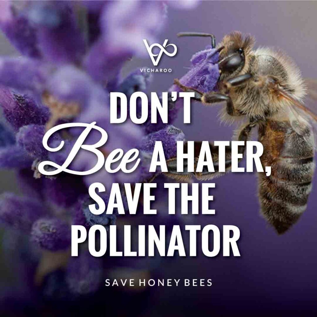 Don't bee a hater, save the pollinator | Save Honey Bees | World Honey Bee Day