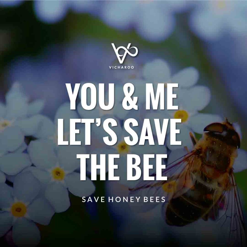 You and me let's save the bee | Save Honey Bees | World Honey Bee Day