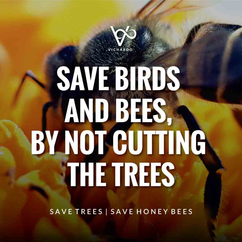 Save birds and bees, by not cutting the trees | Save Honey Bees | World Honey Bee Day