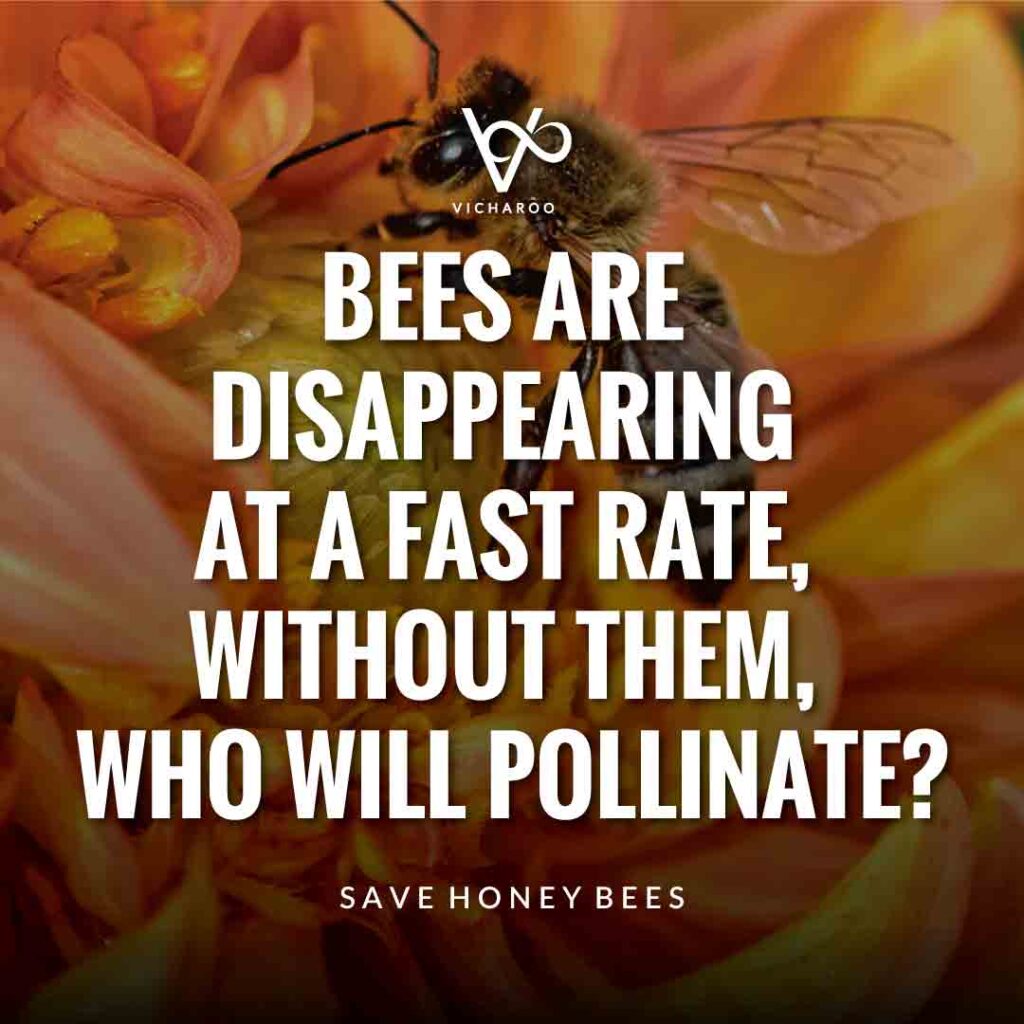 Bees are disappearing at a fast rate, without them, who will pollinate? | Save Honey Bees | World Honey Bee Day