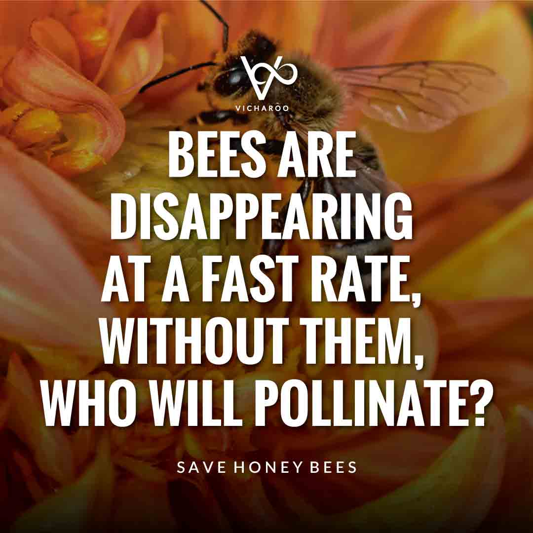 Bees are disappearing at a fast rate, without them, who will pollinate? | Save Honey Bees Slogans and Quotes | World Honey Bee Day
