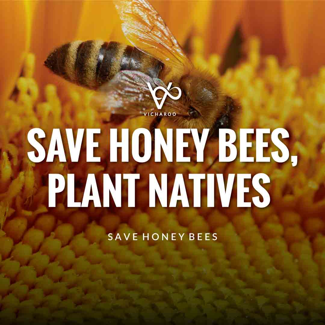 Save honey bees, plant navives | World Honey Bee Day Slogans and Quotes