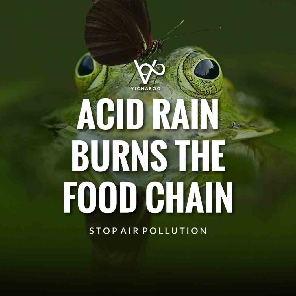 Acid rain burns the food chain | Air Pollution Slogans and Quotes